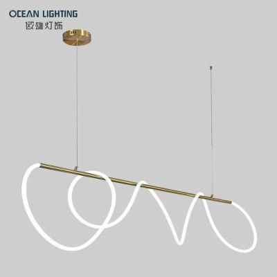 Hanging Lamp Nordic Modern Indoor Linear LED Pendant Light