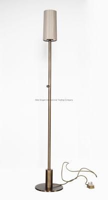 1607 Five Star Hotel Room/ Custom/ Modern Floor Lamp