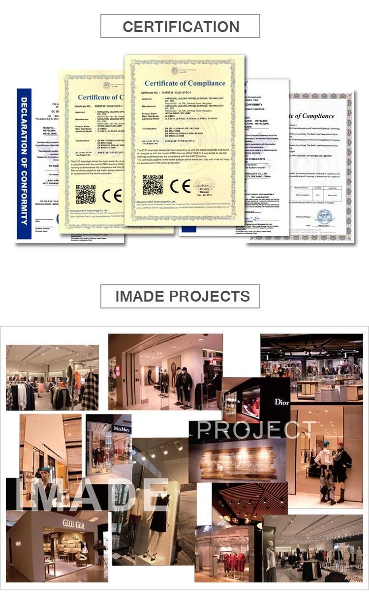 Imade High Brightness High Lumen LED Ceiling Light for Office Hotel Project Residential Surface Mounted COB Downlight