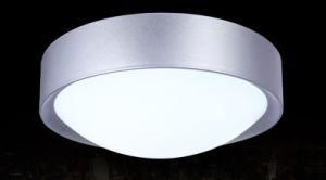 12W LED Ceiling Light