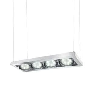 LED Indoor Hanging Light (LPL013)