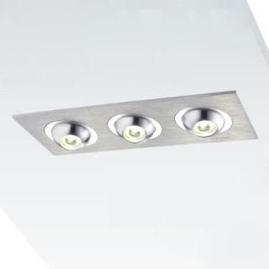 LED Indoor Ceiling Light (LDC403P)