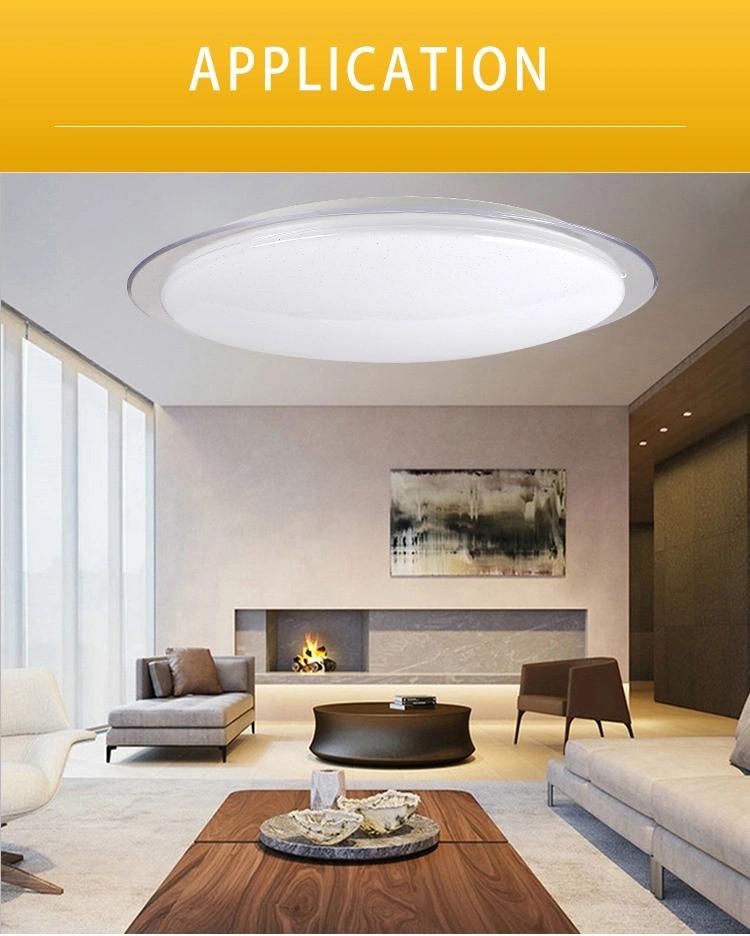 9W 12W 36W Room Outdoor 12V Decor LED Ceiling Lamp