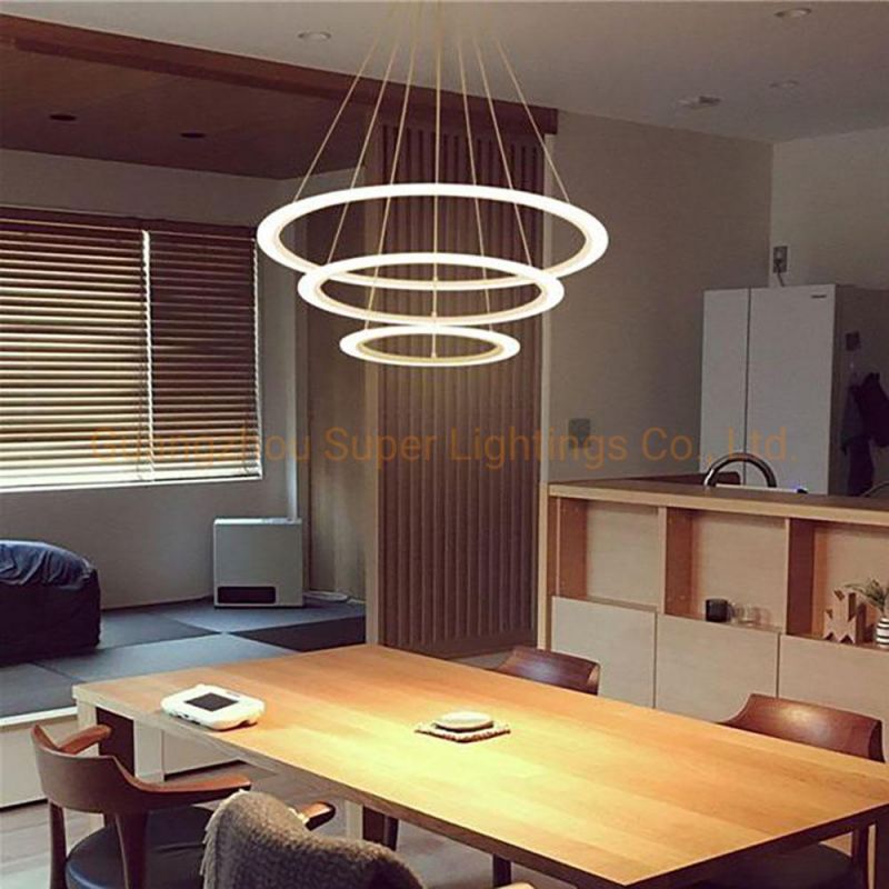 Modern Circular LED Lights for Home Pendant Lighting