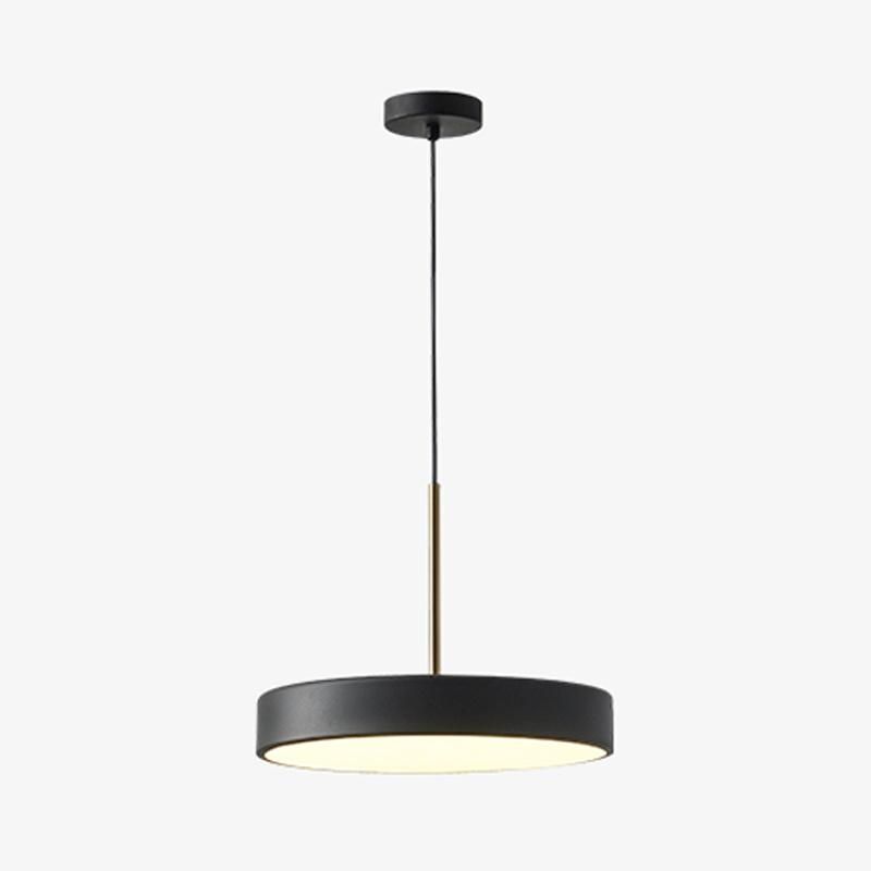 Restaurant Chandelier Black and White Grey Simple Modern LED Minimalist Personality Creative Disc Single Head Light Luxury Nordic Pendant Lamp