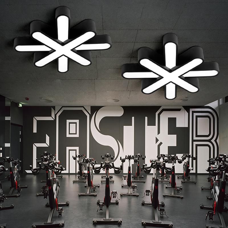 Creative Personality Ceiling Light Meeting Room Lamp Gym Light Diningroom Light