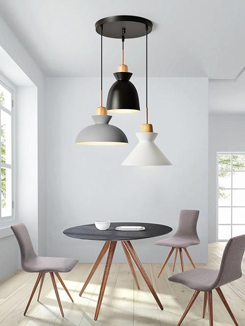 Modern Pendant Lighting Home Lighting Chandelier Light Pendant Lamp for Interior