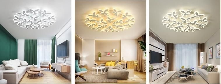 Modern Acrylic Art LED Ceiling Lighting/Lamp for Villa Decoration Zf-Cl-035