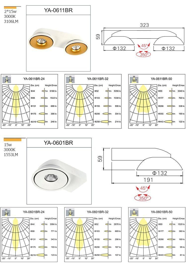 Adjustable 30W Surface Mounted Ceiling Light Ceiling Downlight COB LED Spotlight