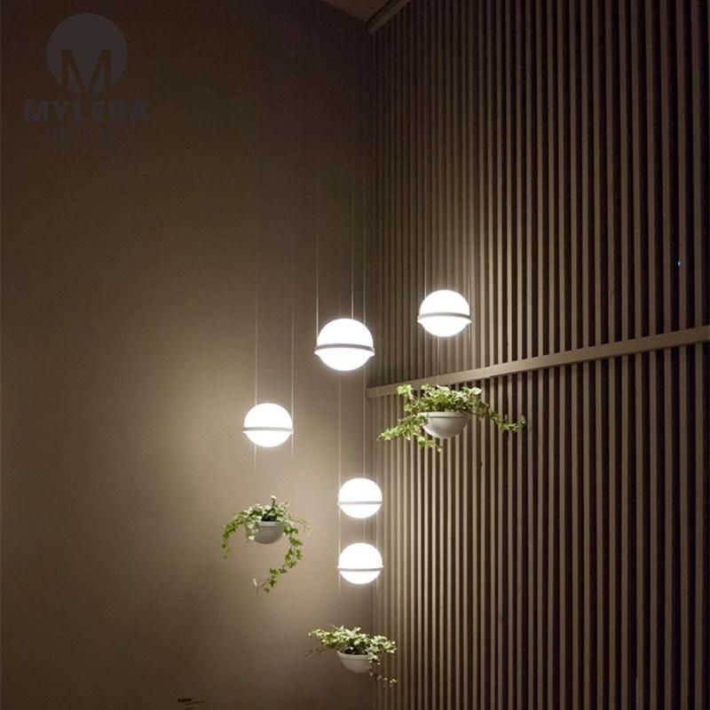 White Ball Glassled Pendant Light with Green Plant