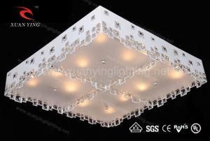 Modern Bright Crystal Lamp Indoor Ceiling Light (Mx68031-12 E14)