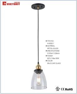 Hotel Decoration Modern Simple Pendant Light H-3692-1