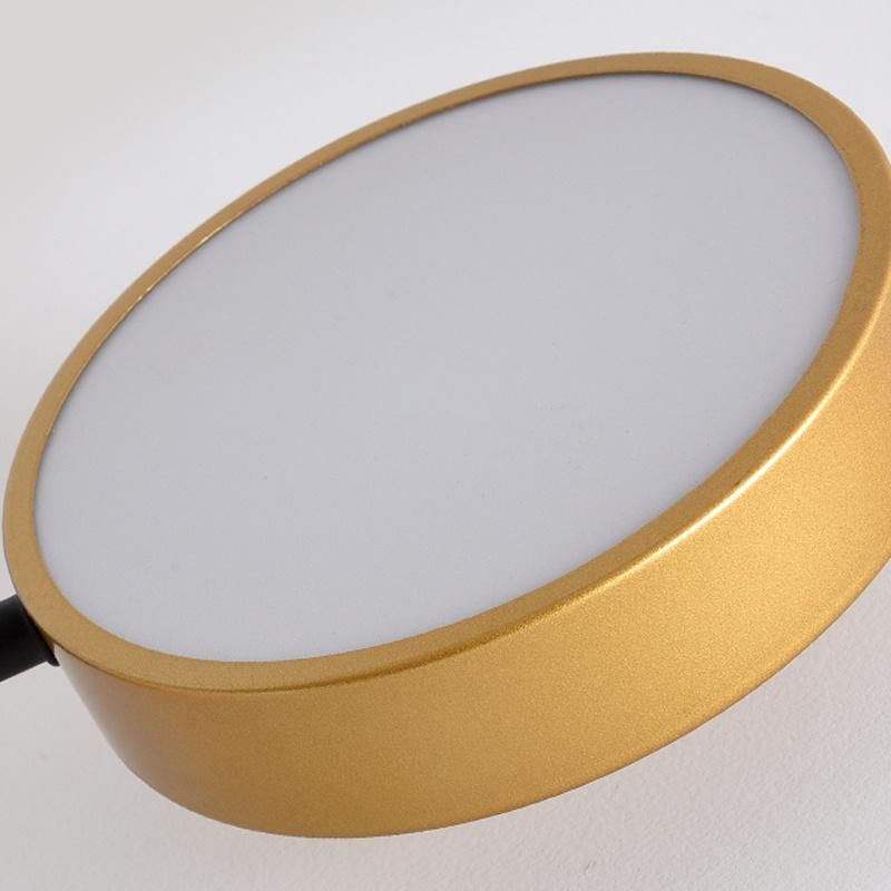 Iron Living Room Lamp Personality Modern Simple Study Bedroom Lamp Light Luxury Ceiling Light