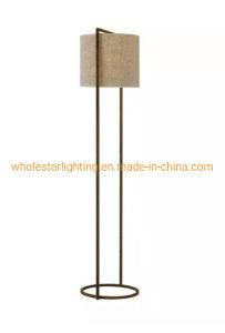Hotel Stainless Steel Floor Lamp (WHF-996)