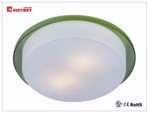 Simple Round Glass LED Lighting Ceiling Lamp 18W