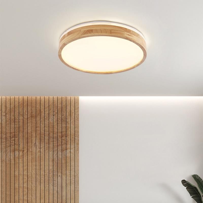Concise Style Pendant Lamp Ceiling Lamp Living Room Lamp Hotel Lamp