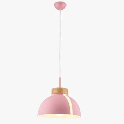 Europe Decorative LED Pendant Light Modern Pendant Lighting Hanging Pendant Lights