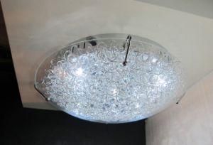 Ceiling Light (6011-5LED)