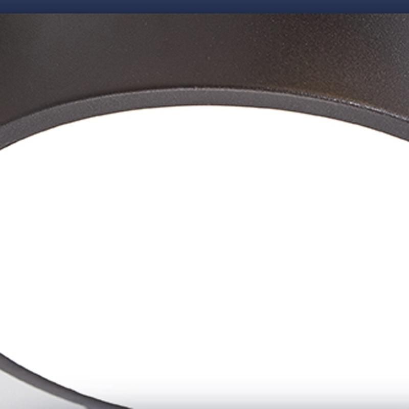 Living Room Lamp Creative Personality Hall Light Simple Modern Bedroom Wood Art LED Ceiling Light