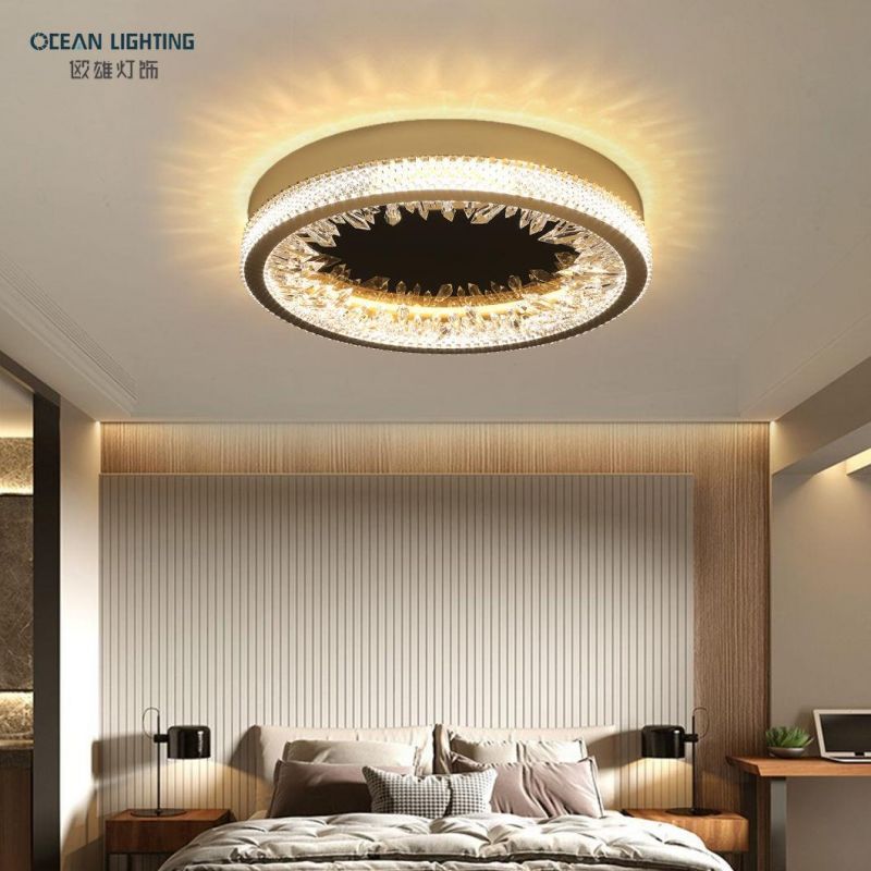 Ceiling Lighting Lamp Fancy Ceiling Lights Modern Ceiling Lamp