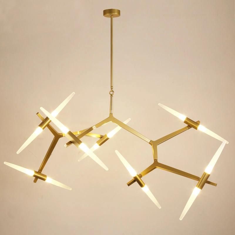 Indoor Home Decoration LED Modern Ceiling Chandelier Pendant Lamp (WH-AP-46)