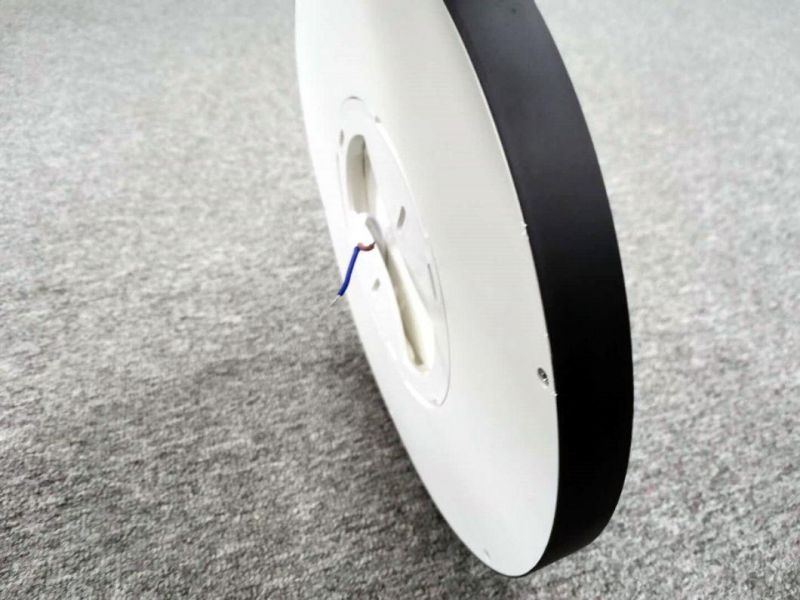 Living Room Lights LED Ceiling Lamp Ultra-Thin 48W Dia 500mm Lighting Fixture Ceiling Lights for Bedroom and Kitchen