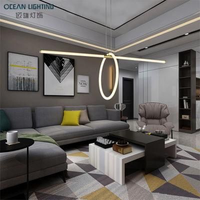 Wholesal Luxury Modern Indoor LED Gold Pendant LED Light