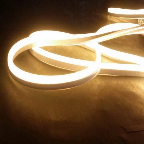 Ce EMC LVD RoHS Two Years Warranty LED Neon Light (WD-E-SMG - FNF2L-SMD- 120L)