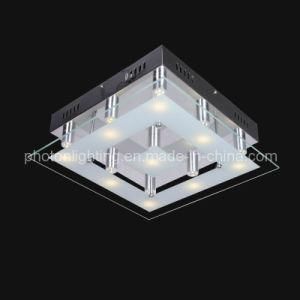 Ceiling Light / Ceiling Lamp (PT-G9 213/9)