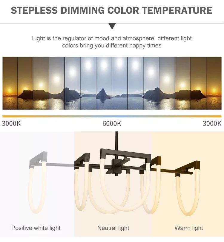 Nordic DIY Modern Simple Unique Hanging Edinbrugh LED Chandelier