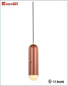 Indoor/Interior Modern Copper Metal Hanging Pendant Lamp