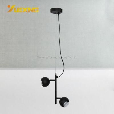 Modern Decorative Black 2 Ball Lamps Hanging Pendant Lamp Light for Dining Room