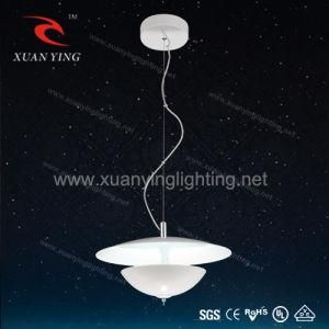 16watts LED Pendant Lighting for Modern Hotel Decorating (Mv20142m-1)