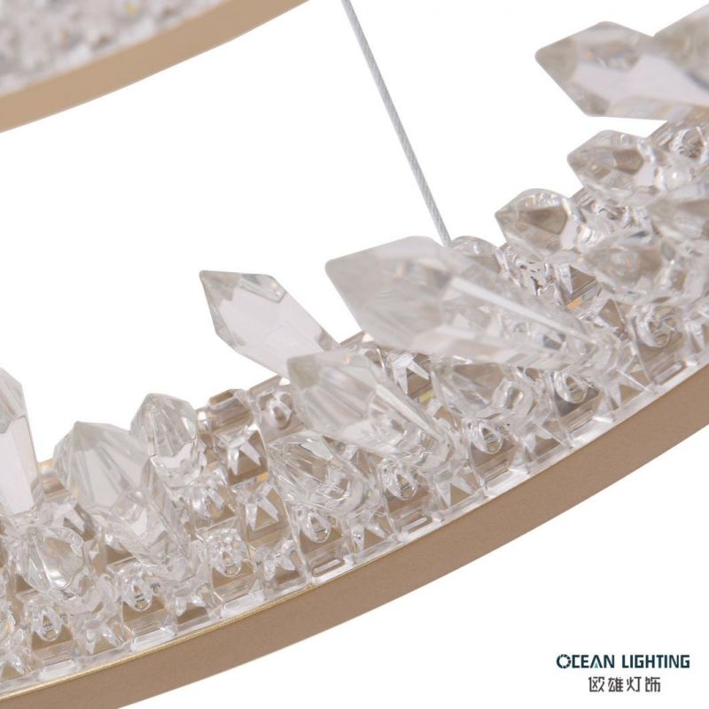Modern Aluminum Iron Acrylic Pendant Light Indoor Decorative Pendant Lighting for Home Hotel