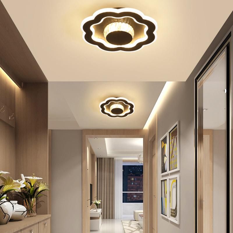 Living Room Corridor Light Modern Simple Personality Dressing Room Ceiling Lamp LED
