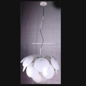 Pendant Light / Pendant Lamp (PT-E27 221/5)