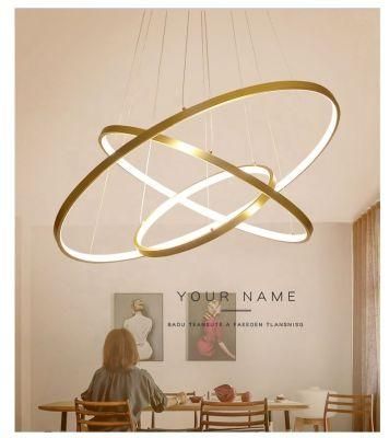 Indoor Modern Circular Ring Chandelier 1 - 3 Rings Pendant Light Home Hotel Lighting