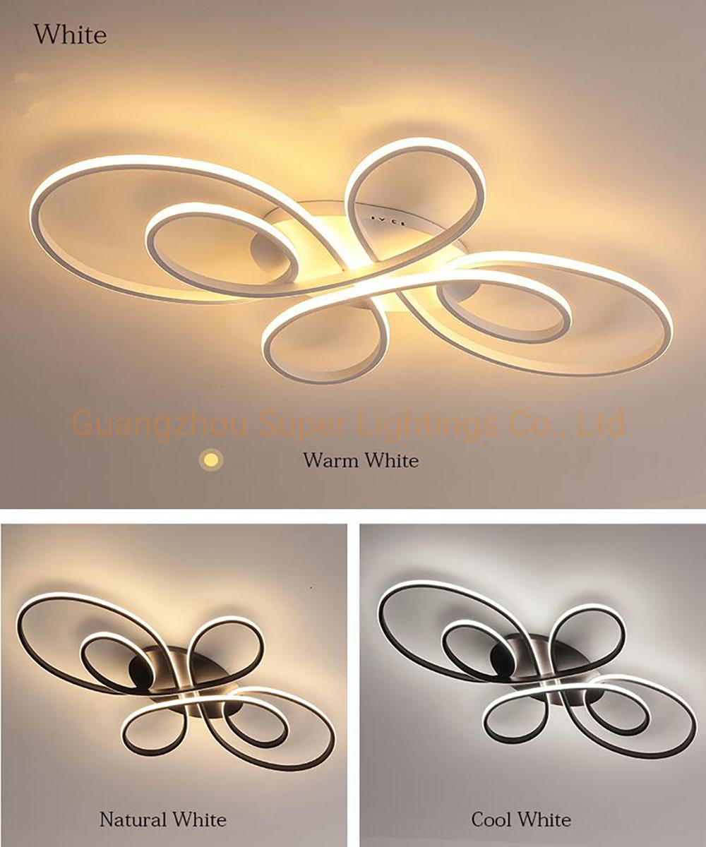 Circular LED Pendant Lights for Home Pendant Round Lighting