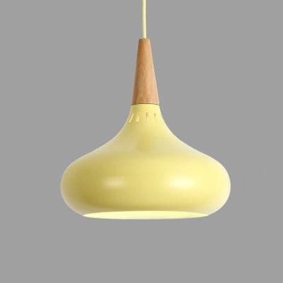 Indoor Lighting Hanging Pendant Lamp Restaurant Bedroom Sitting Room Decoration Light