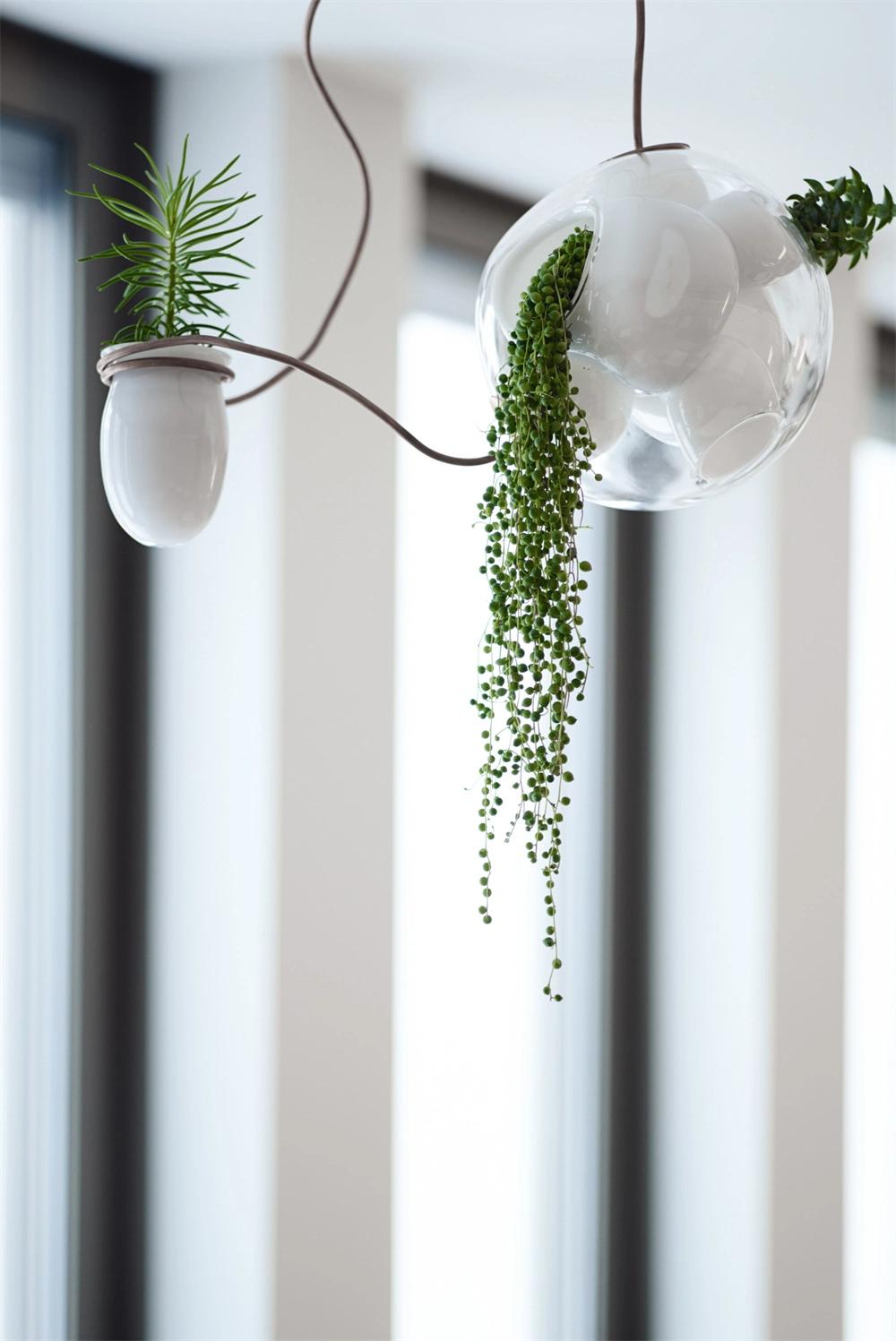 Hanging Glass Round Terrarium for Decoration Clear Glass Hanging Pendant Light
