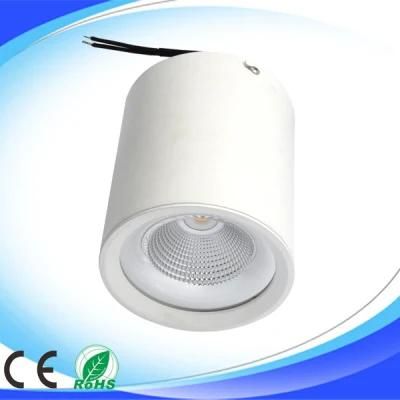 30W CREE COB LED Pendant Lamp Light (YC-TDCOB)