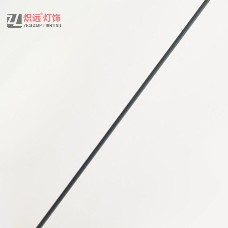 Nordic Iron Simple Floor Lamp (ZLF052)