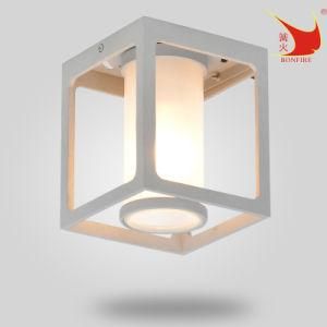 Hot Sales Square Cute Surface Mounted LED Outdoor Ceiling Lamp