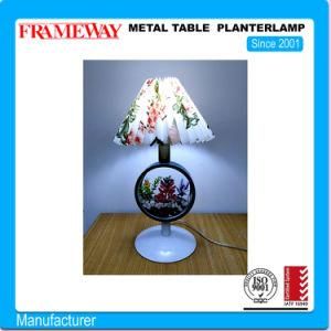 Custom Manufacturing Home Deco Metal Table Planter Lamp with Arylic Water Tank