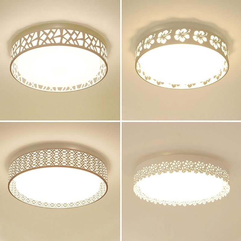 Modern Apartment / Hotel / Home Decoration Acrylic LED Ceiling Light/Lighting Zf-Cl-047