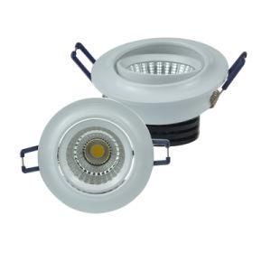 Colorful Adjustable COB Ceiling LED Ceiling Light