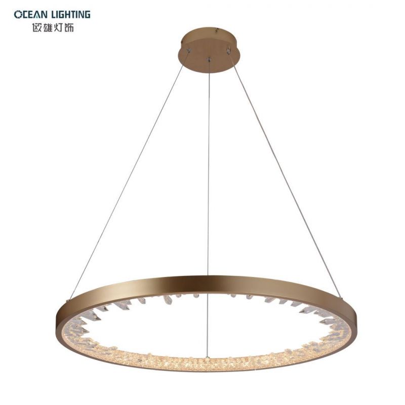 Modern Indoor Decorative Aluminum Iron Acrylic Pendant Lighting for Home Hotel Restaurant