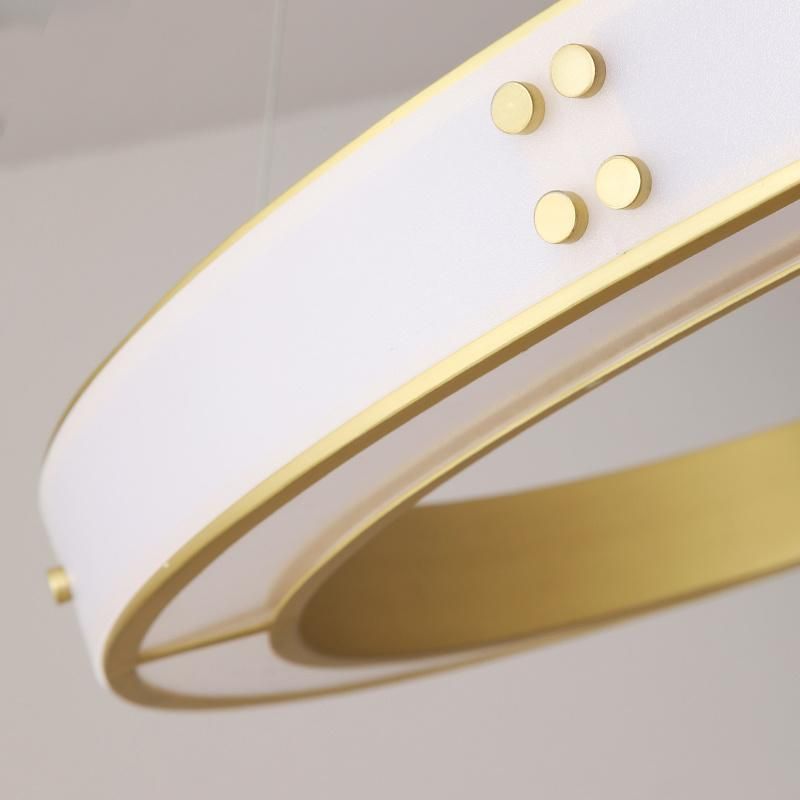 Circle Modern Style Simple Design Pendant Lamp Chandelier Living Room Lamp