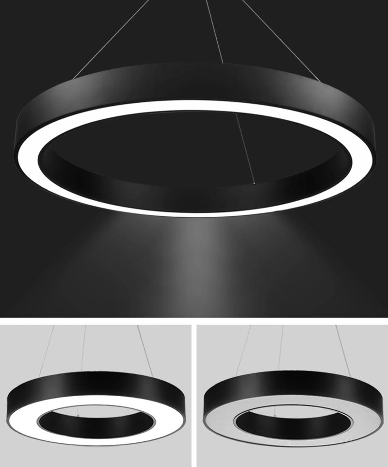 Custom Made Diameter Size Round Ring Shape LED Linear Pendant Light