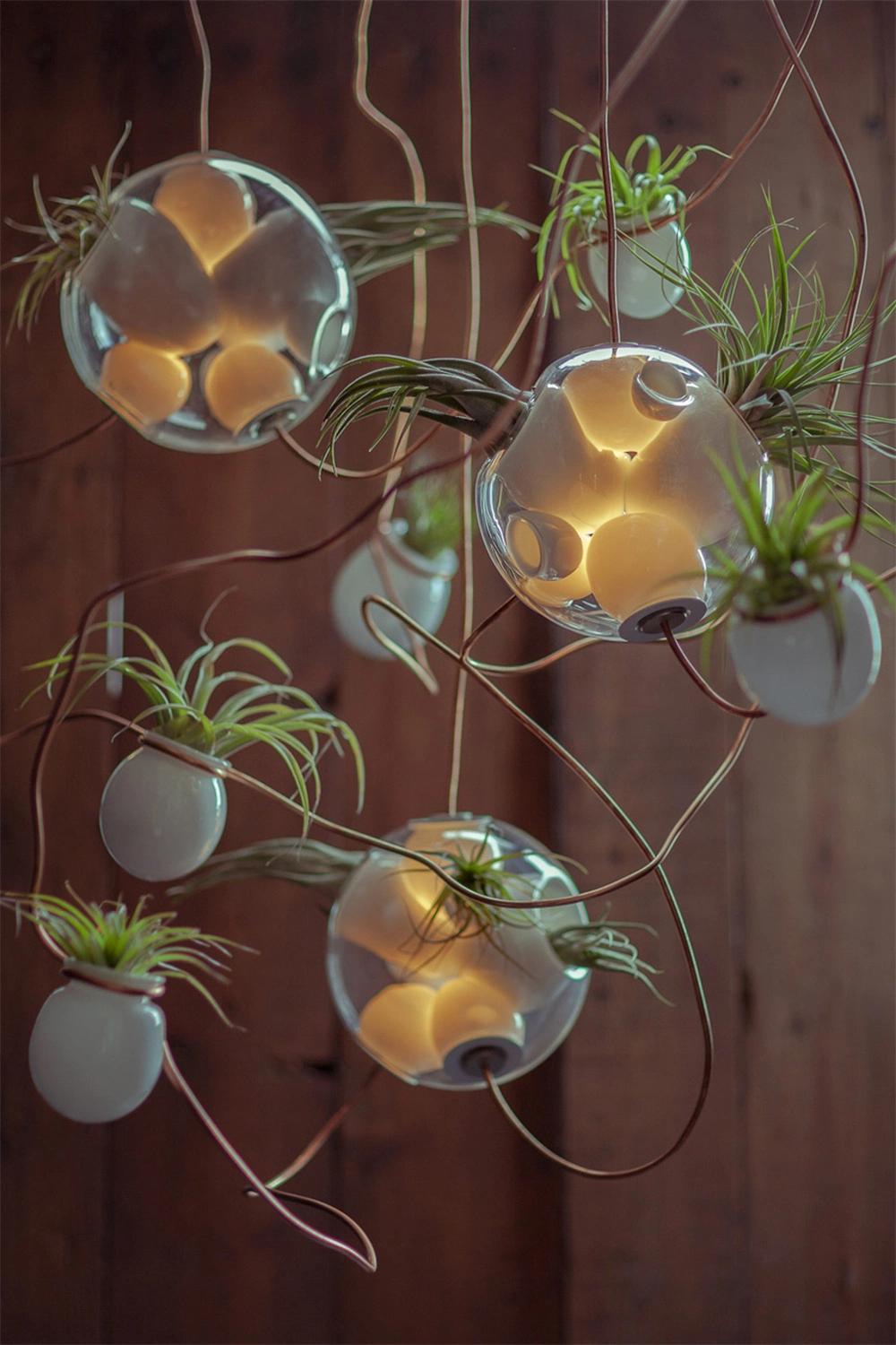 Hanging Glass Round Terrarium for Decoration Clear Glass Hanging Pendant Light